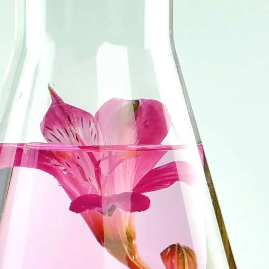 foto serum para pieles problematicas beauty lab miya 2